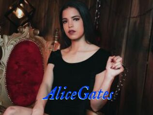 AliceGates