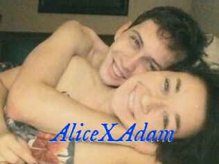 Alice_X_Adam