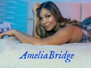 AmeliaBridge