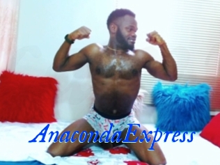 AnacondaExpress