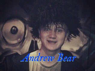 Andrew_Bear