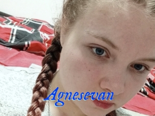 Agnesevan