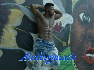 Alexbigmuscle