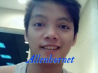 Allen_hornet