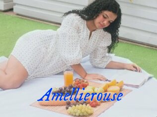 Amellierouse