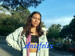 Aniefelix