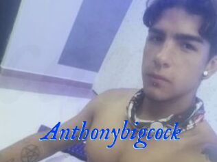 Anthonybigcock