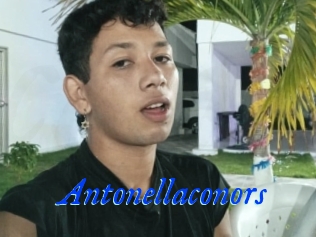 Antonellaconors