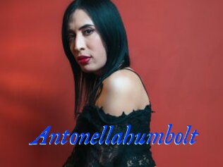 Antonellahumbolt