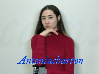 Antoniacharton