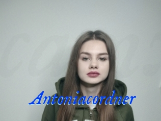 Antoniacordner