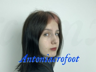 Antoniacrofoot