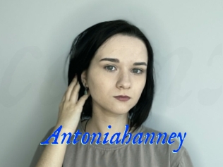 Antoniahanney