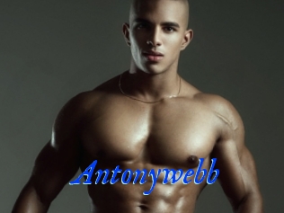 Antonywebb