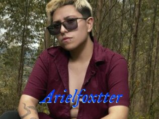 Arielfoxtter