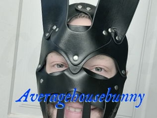 Averagehousebunny