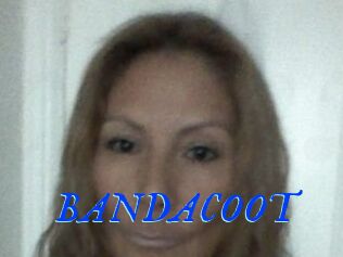 BANDACOOT