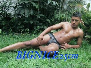 BIGNICE25cm