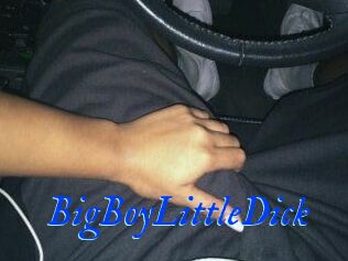 BigBoyLittleDick