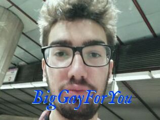 BigGayForYou