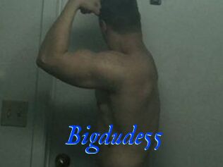 Bigdude55