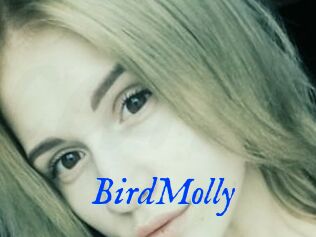 BirdMolly