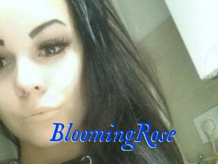 Blooming_Rose