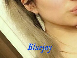 Blue_jay