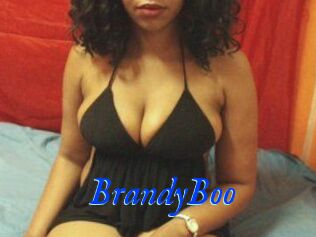 BrandyBoo