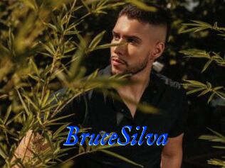 BruceSilva