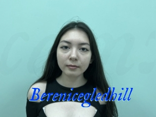 Berenicegledhill