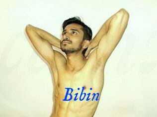 Bibin