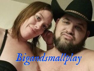 Bigandsmallplay