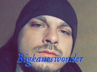 Bigkaneswonder