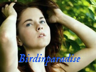 Birdinparadise