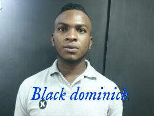 Black_dominick