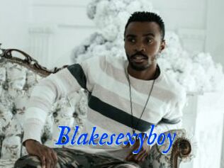 Blakesexyboy