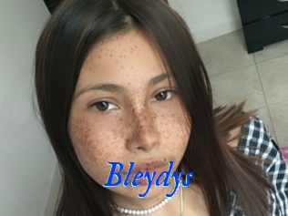 Bleydys