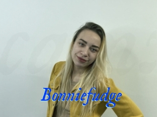 Bonniefudge