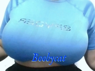 Boobycat