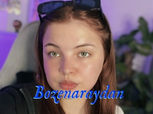 Bozenaraydan