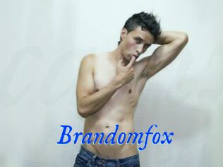 Brandomfox