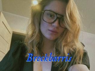 Breckbarris