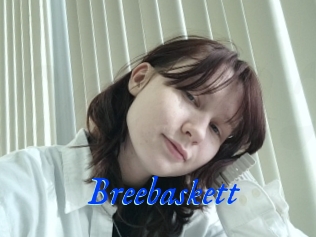 Breebaskett