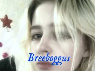 Breeboggus