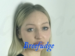 Breefudge