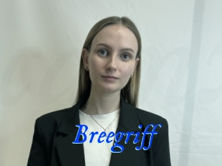 Breegriff