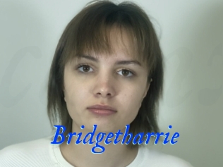 Bridgetharrie