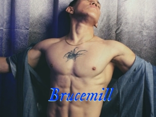 Brucemill