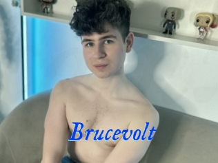 Brucevolt